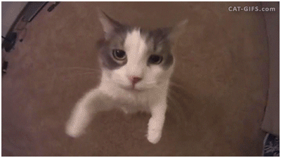 Gaming GIF