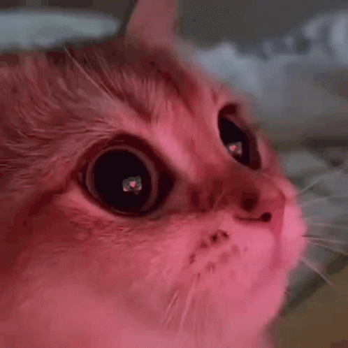 You GIF